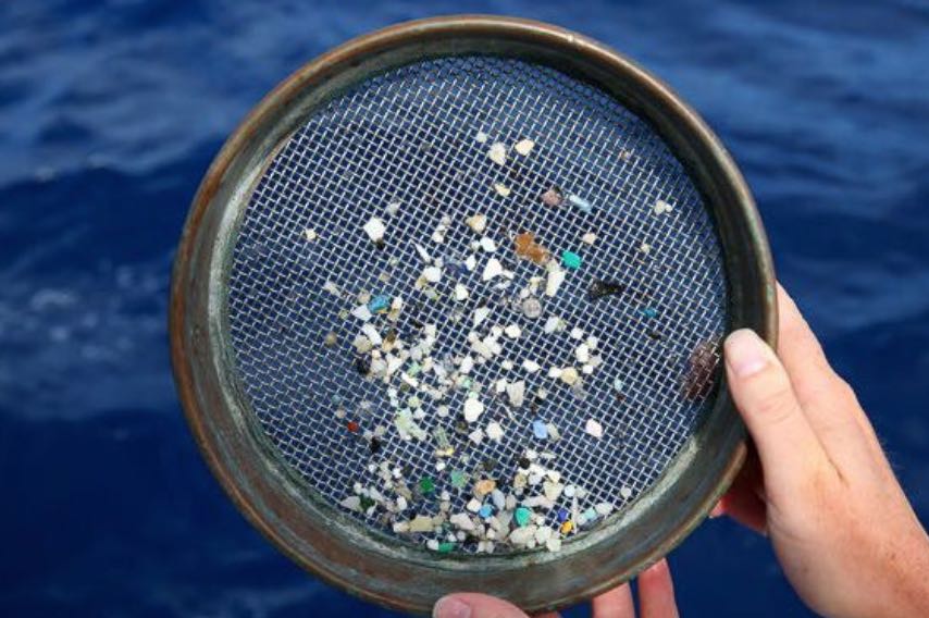 EU使い捨てプラスチック規制:酸化型生分解性プラスチック